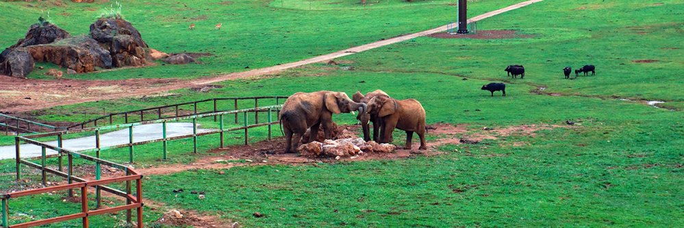 Visita Cantabria con entrada al Parque de Cabárceno