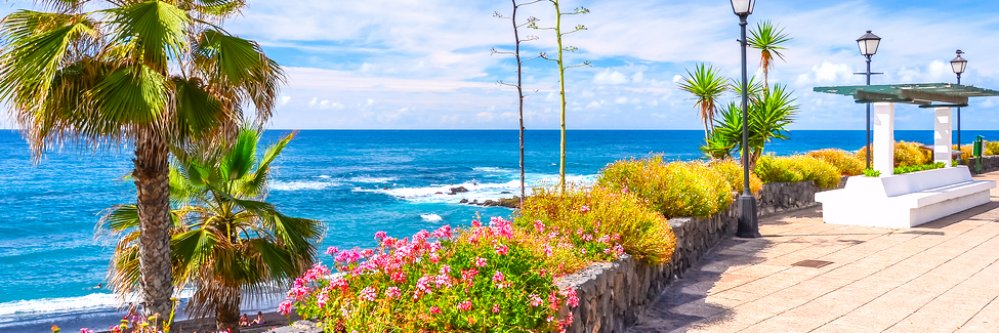 Vacaciones en la Isla de Tenerife (Canarias)